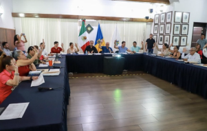 Municipio de Puerto Vallarta autoriza 71 permisos para venta de alcohol